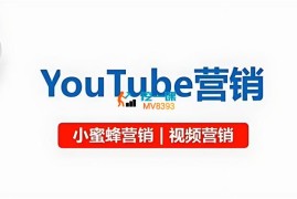 小蜜蜂《YouTube视频营销》