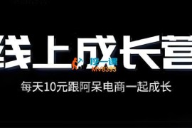阿呆《电商线上成长营2025年新》