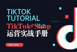 朵拉《TikTok Shop运营课程》