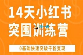 王多维《14天小红书突围训练营》