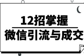 12招掌握微信引流与成交：小小微信号也能做出百万级业绩