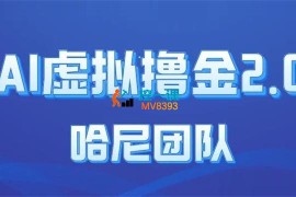 哈尼《AI虚拟撸金2.0项目》