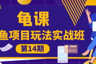 龟课闲鱼项目玩法实战班第14期