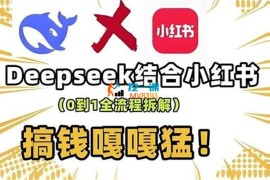 成哥《deepseek+小红书打造流量生产线》