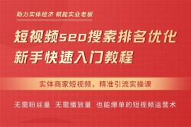 钱顶顶《抖音短视频seo搜索排名优化》