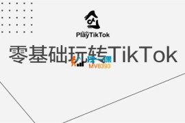 玩转踢拓《零基础玩转TikTok》