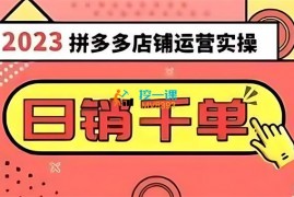 小枫《2023拼多多运营实操》