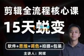 阿晖《全能剪辑高手训练营》