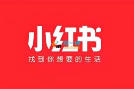 顽石《小红‬书电商变现项目》