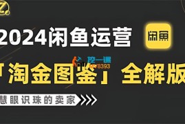 进击的海厂长《闲鱼运营卖家系统课程》