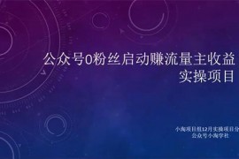 小淘《公众号赚流量主收益实操项目》