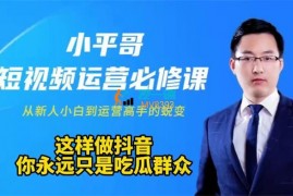 小平哥《短视频运营必修课》