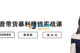 丁仪《抖音带货暴利赚钱实战课》