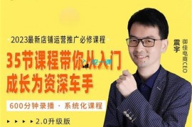 震宇《直通车投放系统提升课程》