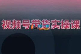 张小伟《视频号带货实操课》