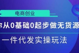 教你从0基础0起步做无货源店群，一件代发实操玩法