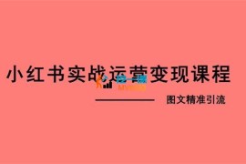 程哥《小红书图文精准引流》