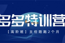 纪主任《拼多多特训营24年爆破流玩法》