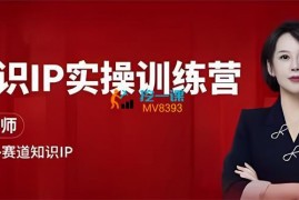 崔老师《知识IP实操训练营》