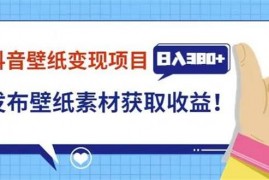 张立《抖音壁纸变现项目》