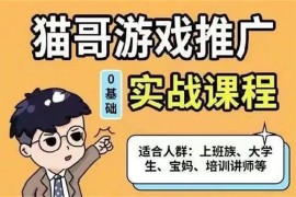 猫哥《游戏推广0基础实战课程》