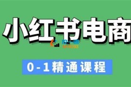 冰块《小红书电商0-1精通》