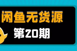 龟课《闲鱼无货源电商课程第20期》