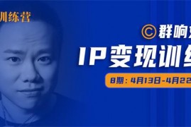 群响《IP变现训练营第八期》