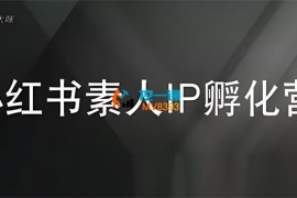 吴大咪《小红书素人IP孵化营》