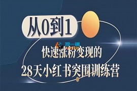 王多维《28天小红书突围训练营》