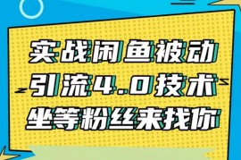 狼叔《实战闲鱼被动引流4.0技术》