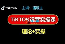 北抖论坛《TikTok运营实操课》