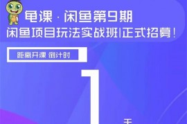 龟课闲鱼项目玩法实战班第九期 