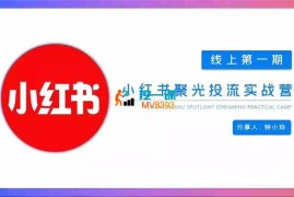 钟小玲《小红书聚光投流陪跑实战营》