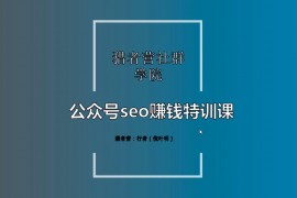 倪叶明《公众号seo赚钱特训课》