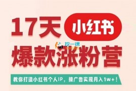 蔡汶川《17天小红书爆款涨粉营》