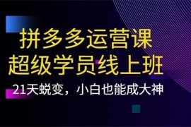 纪主任《拼多多运营课》