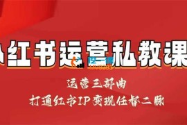 赢在运营《小红书IP变现运营私教课》