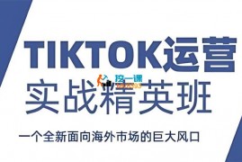 明泽《TIKTOK精英实战班》