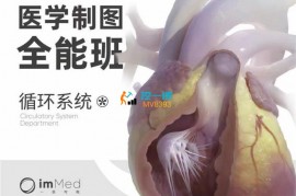 众筹：医学制图全能班循环系统