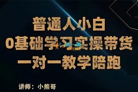 小熊哥《俄罗斯产品带货实战教程》