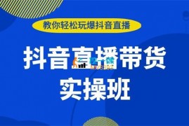 闫丰收《2023抖音直播带货线下课》