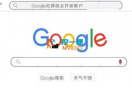 老林《Google社媒自主开发客户》