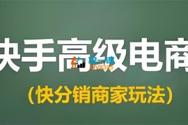 快手快分销高级电商课程