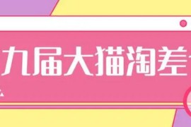 大猫淘差价第九届分享课：淘宝如何选择关键词+选品+补单