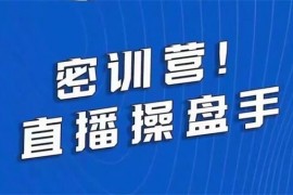 林枫《直播操盘手密训营线下课》