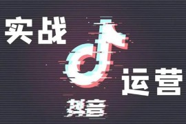 一洋星哥《用数据玩抖音实战篇》