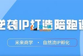 黄小米《逆袭IP打造陪跑课》