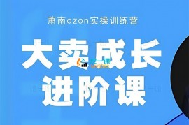 萧南《ozon大卖成长进阶课》