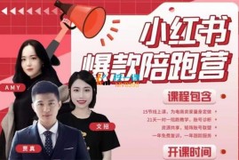 贾真《18期小红书商家营升级版》